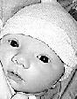 Photo for case Homicide - Kobe Bachellor